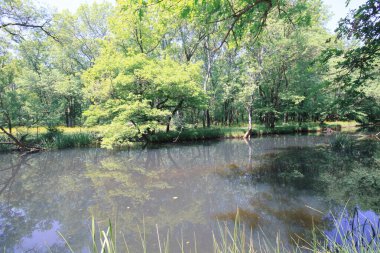 İgneada Longozu, Krklareli 'nin Kykoy bölgesinde yer almaktadır..