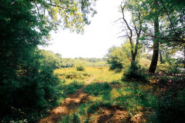 İgneada Longozu, Krklareli 'nin Kykoy bölgesinde yer almaktadır..