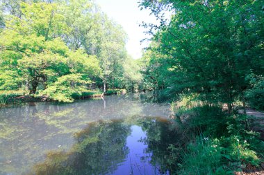 İgneada Longozu, Krklareli 'nin Kykoy bölgesinde yer almaktadır..