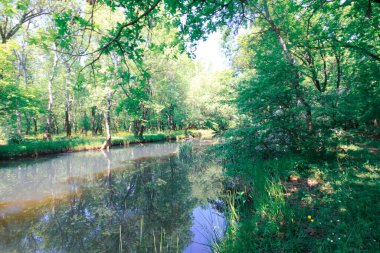 igneada Longozu, a natural freedom, is located in the Kykoy area of Krklareli. clipart