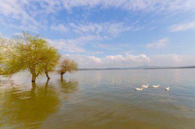 Golyazi Bursa 'daki en zengin antik yerleşim yerlerinden biridir..