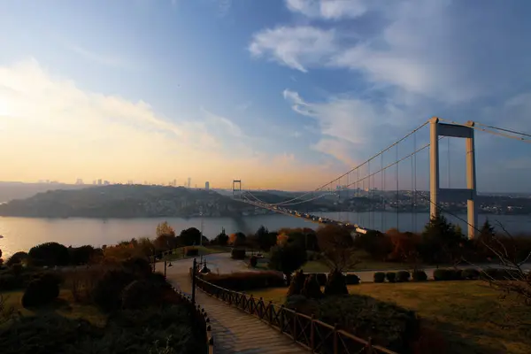 stock image Otatepe Fatih Grove is located in the Kavack neighborhood of the Beykoz district of Istanbul. It is located right next to the Fatih Sultan Mehmet Bridge (2nd bridge).