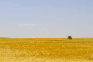 Salt Lake is a salt lake located in the Central Anatolia Region of Turkey, where the borders of Ankara, Konya and Aksaray provinces intersect. 40% of Turkey's salt needs are provided by this lake. clipart