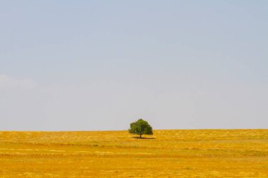 Salt Lake, Ankara, Konya ve Aksaray illerinin kesiştiği Türkiye 'nin Orta Anadolu Bölgesi' nde yer alan bir tuz gölüdür. Türkiye 'nin tuz ihtiyacının% 40' ı bu gölden sağlanıyor.