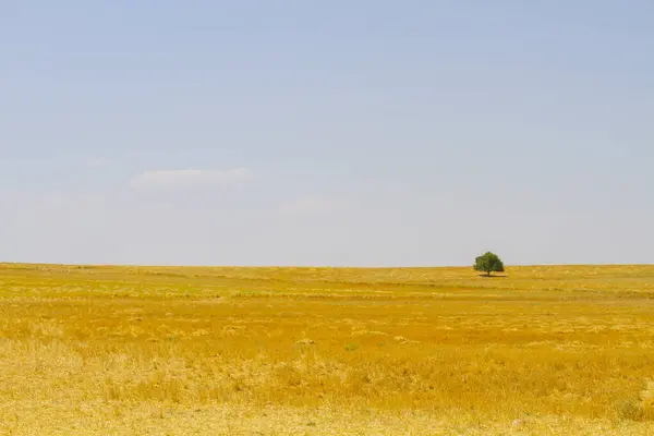 stock image Salt Lake is a salt lake located in the Central Anatolia Region of Turkey, where the borders of Ankara, Konya and Aksaray provinces intersect. 40% of Turkey's salt needs are provided by this lake.