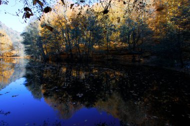 Yenice Ormanları, Karabk ilinin Yenice ilçesine bağlı bir ormandır. Adını bölgeden alıyor..
