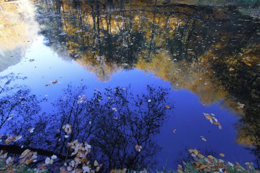 Yenice Ormanları, Karabk ilinin Yenice ilçesine bağlı bir ormandır. Adını bölgeden alıyor..
