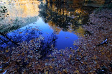 Yenice Ormanları, Karabk ilinin Yenice ilçesine bağlı bir ormandır. Adını bölgeden alıyor..