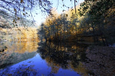 Yenice Ormanları, Karabk ilinin Yenice ilçesine bağlı bir ormandır. Adını bölgeden alıyor..