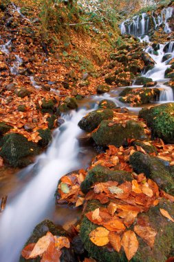 Yenice Ormanları, Karabk ilinin Yenice ilçesine bağlı bir ormandır. Adını bölgeden alıyor..