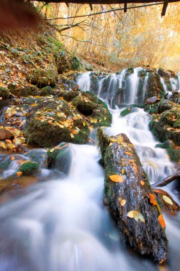 Yenice Ormanları, Karabk ilinin Yenice ilçesine bağlı bir ormandır. Adını bölgeden alıyor..