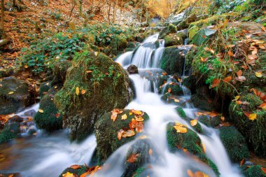 Yenice Ormanları, Karabk ilinin Yenice ilçesine bağlı bir ormandır. Adını bölgeden alıyor..