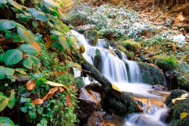 Yenice Ormanları, Karabk ilinin Yenice ilçesine bağlı bir ormandır. Adını bölgeden alıyor..