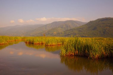 Efteni Gölü, Orta ve Glyaka bölgelerinin sınırları içinde, Dzce ilinin sınırları içinde yer alan bir tatlı su gölüdür..