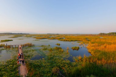 Efteni Gölü, Orta ve Glyaka bölgelerinin sınırları içinde, Dzce ilinin sınırları içinde yer alan bir tatlı su gölüdür..