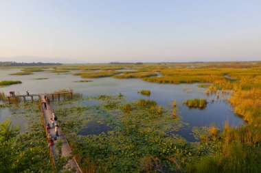 Efteni Gölü, Orta ve Glyaka bölgelerinin sınırları içinde, Dzce ilinin sınırları içinde yer alan bir tatlı su gölüdür..