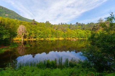 Yalova 'nın Tevikiye bölgesinde yer alan Büyük Dipsiz Göl, şehir merkezine yaklaşık 10 km uzaklıktadır..