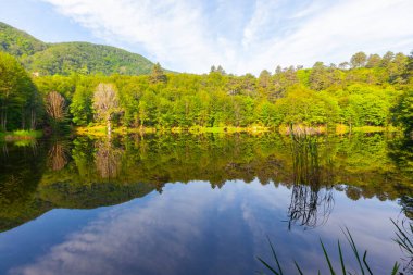 Yalova 'nın Tevikiye bölgesinde yer alan Büyük Dipsiz Göl, şehir merkezine yaklaşık 10 km uzaklıktadır..