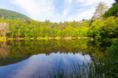 Yalova 'nın Tevikiye bölgesinde yer alan Büyük Dipsiz Göl, şehir merkezine yaklaşık 10 km uzaklıktadır..