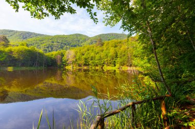 The Big Bottomless Lake, located in the Tevikiye district of Yalova, is approximately 10 km away from the town center. clipart