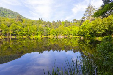Yalova 'nın Tevikiye bölgesinde yer alan Büyük Dipsiz Göl, şehir merkezine yaklaşık 10 km uzaklıktadır..