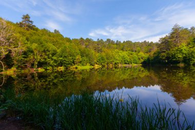 Yalova 'nın Tevikiye bölgesinde yer alan Büyük Dipsiz Göl, şehir merkezine yaklaşık 10 km uzaklıktadır..