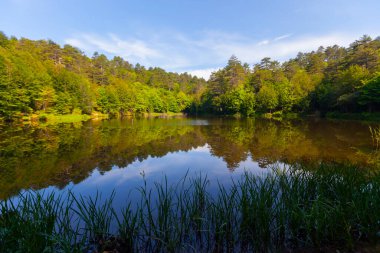 Yalova 'nın Tevikiye bölgesinde yer alan Büyük Dipsiz Göl, şehir merkezine yaklaşık 10 km uzaklıktadır..