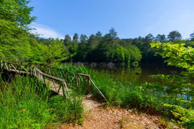 Yalova 'nın Tevikiye bölgesinde yer alan Büyük Dipsiz Göl, şehir merkezine yaklaşık 10 km uzaklıktadır..
