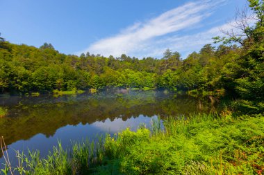 Yalova 'nın Tevikiye bölgesinde yer alan Büyük Dipsiz Göl, şehir merkezine yaklaşık 10 km uzaklıktadır..