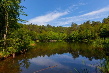Yalova 'nın Tevikiye bölgesinde yer alan Büyük Dipsiz Göl, şehir merkezine yaklaşık 10 km uzaklıktadır..