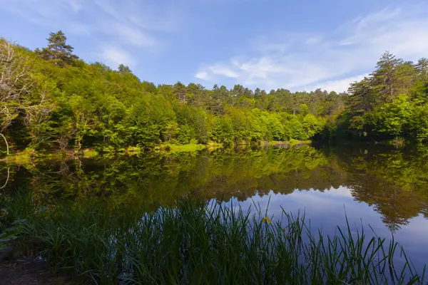 stock image The Big Bottomless Lake, located in the Tevikiye district of Yalova, is approximately 10 km away from the town center.