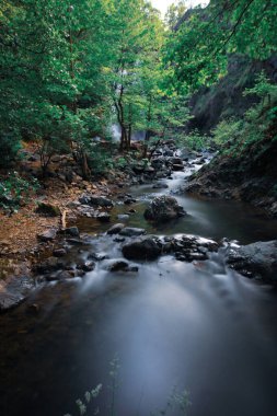 Located 8 kilometers away from vezpnar Village in the Termal District, Suden Waterfall and its surroundings offer a magnificent feast for nature lovers. clipart