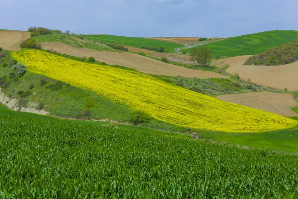 stock image Ucmakdere is a neighborhood in the arky district of Tekirda province.