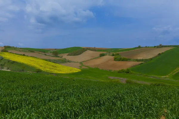 stock image Ucmakdere is a neighborhood in the arky district of Tekirda province.