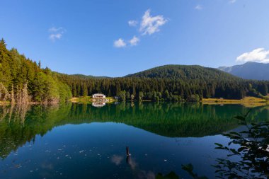 Karagol, Artvin 'in Borcka ilçesine 25-27 kilometre uzaklıkta bulunan bir baraj gölüdür..