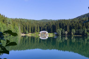 Karagol, Artvin 'in Borcka ilçesine 25-27 kilometre uzaklıkta bulunan bir baraj gölüdür..