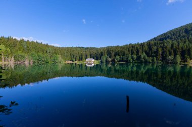 Karagol, Artvin 'in Borcka ilçesine 25-27 kilometre uzaklıkta bulunan bir baraj gölüdür..