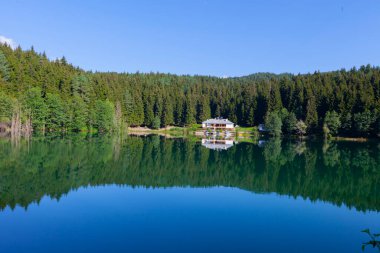 Karagol, Artvin 'in Borcka ilçesine 25-27 kilometre uzaklıkta bulunan bir baraj gölüdür..