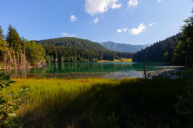 Karagol, Artvin 'in Borcka ilçesine 25-27 kilometre uzaklıkta bulunan bir baraj gölüdür..