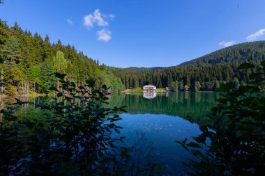 Karagol, Artvin 'in Borcka ilçesine 25-27 kilometre uzaklıkta bulunan bir baraj gölüdür..