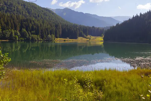 stock image Karagol is a landslide dam lake located 25-27 kilometers away from Borcka district of Artvin.