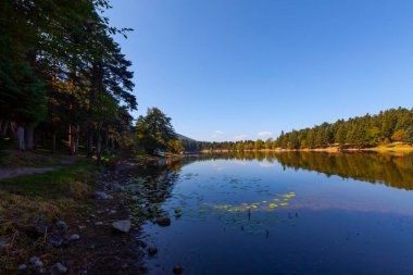 Bolu şehir merkezinin 13 kilometre güneyinde yapay olarak oluşturulmuş bir baraj gölüdür..
