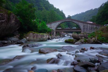 İkiz Köprüler, Artvin 'in Artvin ilçesinin Arhavi ilçesine bağlı iki komşu köprü..