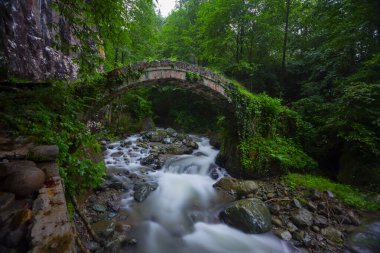 İkiz Köprüler, Artvin 'in Artvin ilçesinin Arhavi ilçesine bağlı iki komşu köprü..