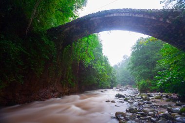 İkiz Köprüler, Artvin 'in Artvin ilçesinin Arhavi ilçesine bağlı iki komşu köprü..