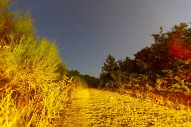 Astrofotoğrafçılığın yıldız izlerini görebileceğiniz türleri.