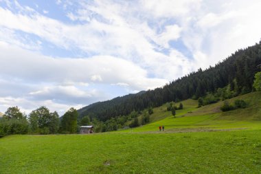 Kelebek Vadisi, Artvin 'in Yusufeli ilçesine bağlı bir beldedir..