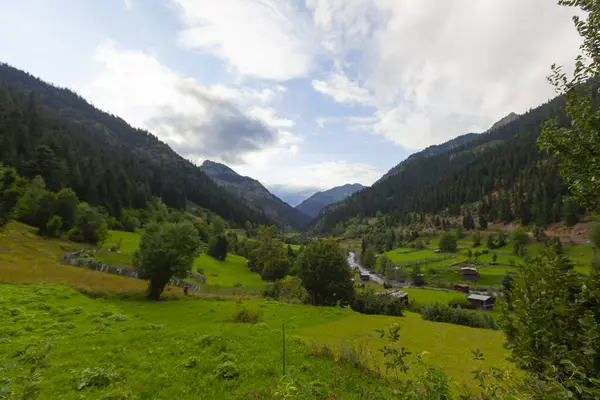 Kelebek Vadisi, Artvin 'in Yusufeli ilçesine bağlı bir beldedir..