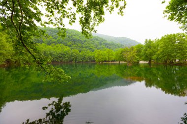 Yalova 'daki Erikli gölü ve ormanı.