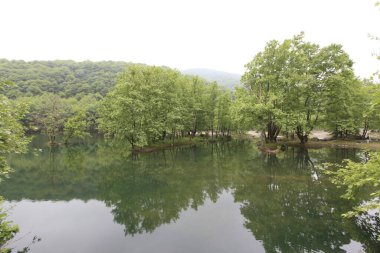 Yalova 'daki Erikli gölü ve ormanı.